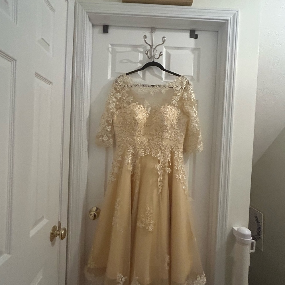 NWOT Champagne Lace Illusion Neck Tea Length Wedding Dress - SZ 10 street size